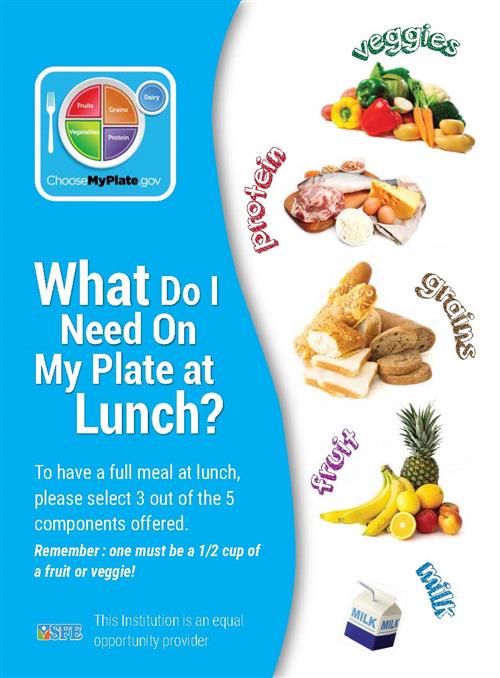 What do I need on my plate at lunch?